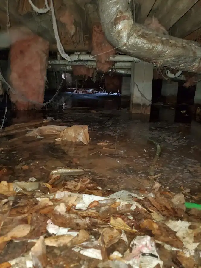 Crawl space flood assessment for Leak Detection & Repair in Short Pump